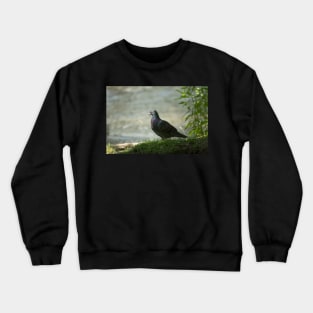 Step Into The Light Crewneck Sweatshirt